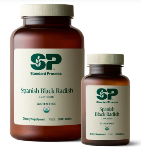 Spanish Black Radish