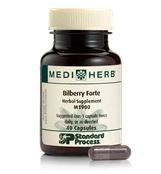 Bilberry Forte Vegetarian Vegan