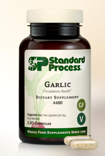 Garlic