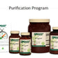 STANDARD PROCESS PURIFICATION PROGRAM 21 days