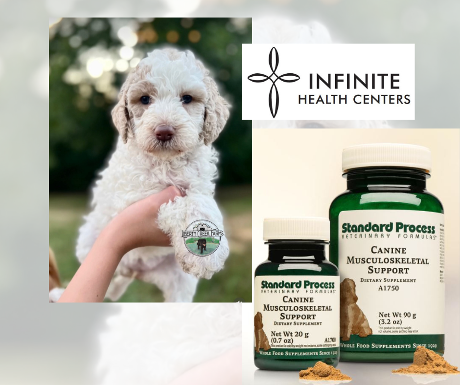 Canine Musculoskeletal Support deRoos Weightloss Infinite Health Centers